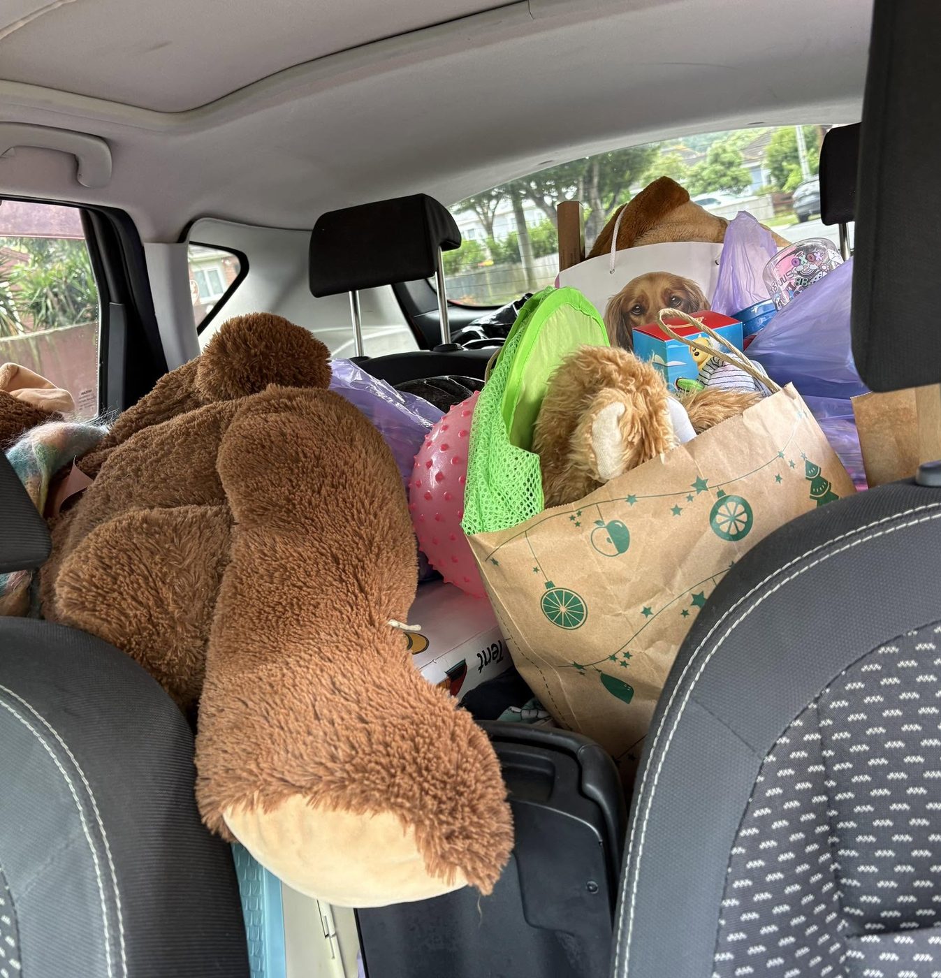 A car full of donated items ready to drop off at the thrift shop after a reset clean