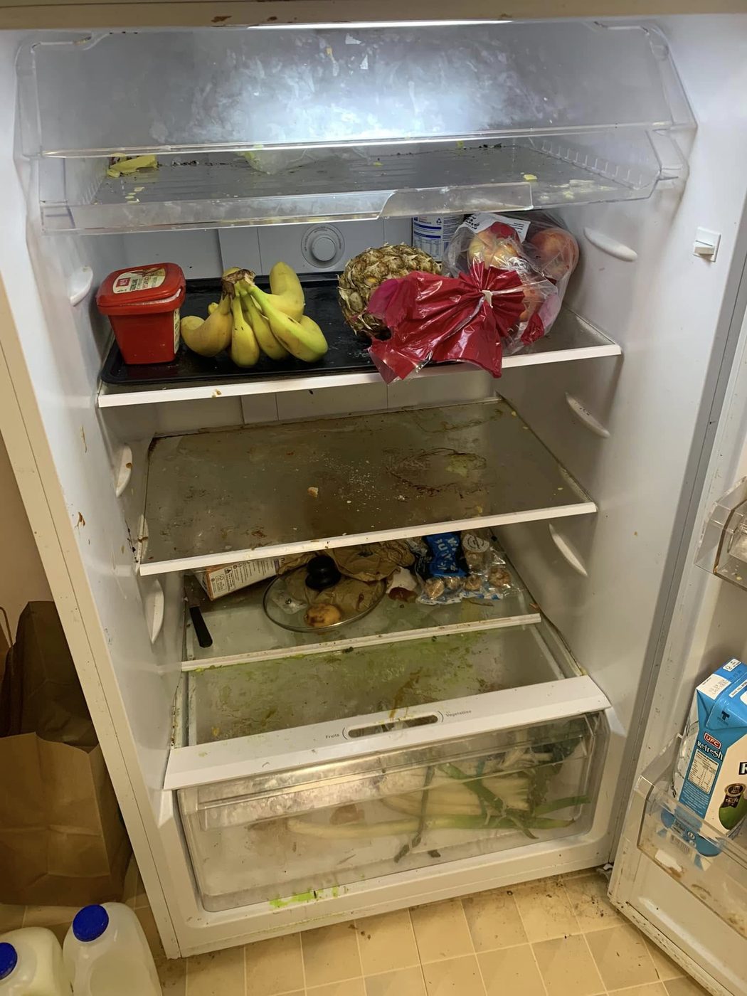 Before: a neglected fridge with spoiled food and grime